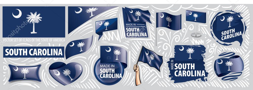 Vector set of flags of the American state of South Carolina in different designs.