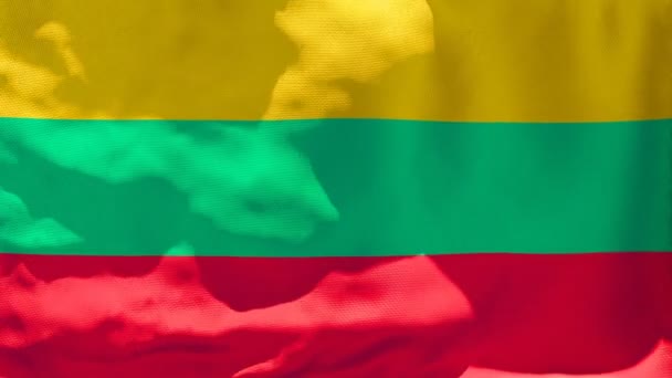 Государственный флаг Литвы развевается на ветру — стоковое видео