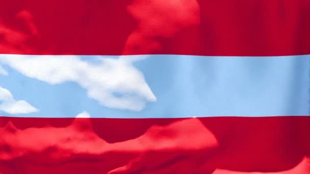 The national flag of Austria flutters in the wind — Stock Video