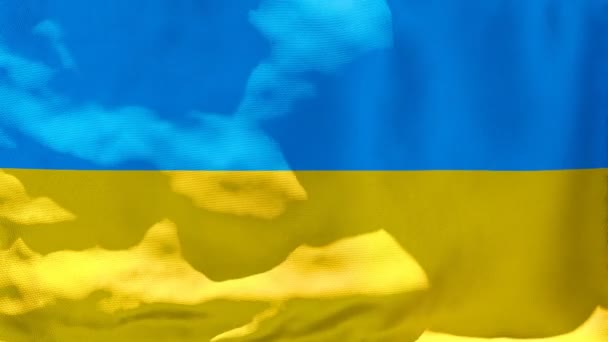 La bandera nacional de Ucrania ondea al viento — Vídeo de stock