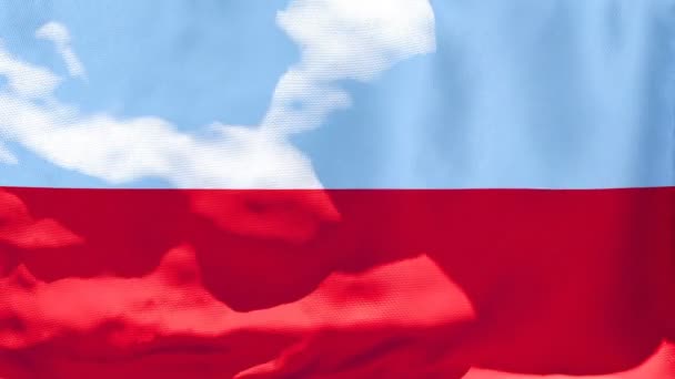 La bandera nacional de Polonia ondea con el viento — Vídeos de Stock