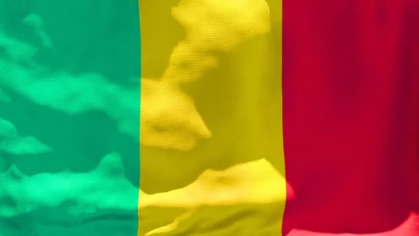 Mali 'nin ulusal bayrağı gökyüzüne karşı rüzgarda dalgalanıyor — Stok video