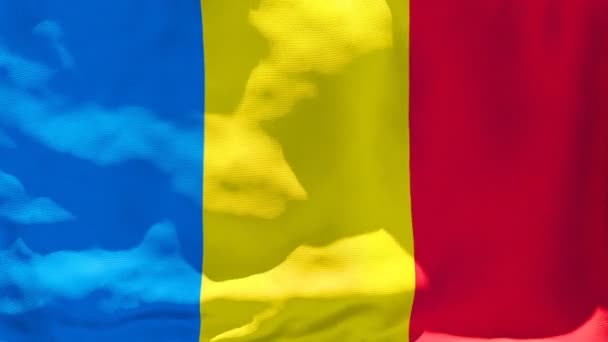 Çad 'ın ulusal bayrağı rüzgarda dalgalanıyor. — Stok video
