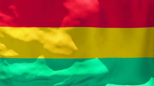La bandera nacional de Bolivia ondea con el viento — Vídeo de stock