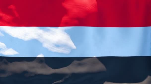 De nationale vlag van Jemen wappert in de wind — Stockvideo