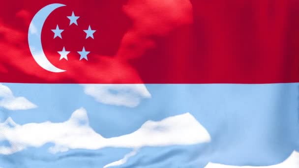 Die Nationalflagge Singapurs flattert im Wind — Stockvideo