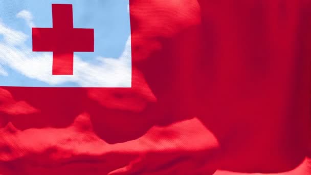 La bandera nacional de Tonga ondea en el viento — Vídeo de stock