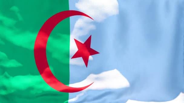 Die algerische Nationalflagge weht im Wind — Stockvideo