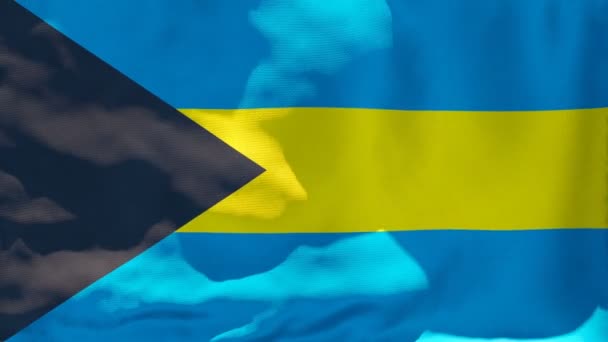 Государственный флаг Багамских островов развевается на ветру — стоковое видео