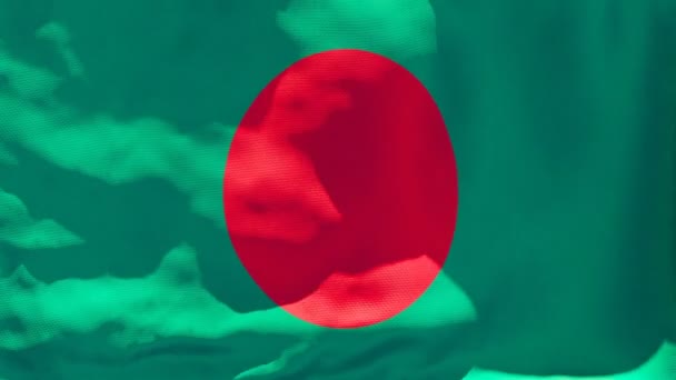 Bendera nasional Bangladesh berkibar di udara. — Stok Video