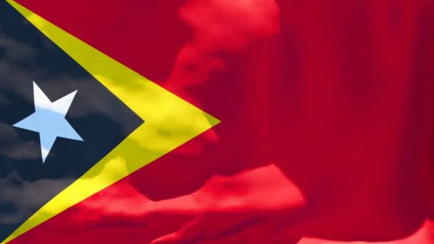 A bandeira nacional de Timor-Leste está voando ao vento — Vídeo de Stock