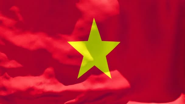 Bendera nasional Vietnam berkibar di udara. — Stok Video