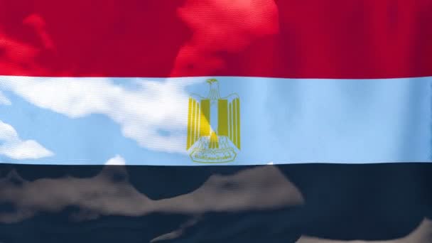 La bandera nacional de Egipto ondea en el viento — Vídeo de stock