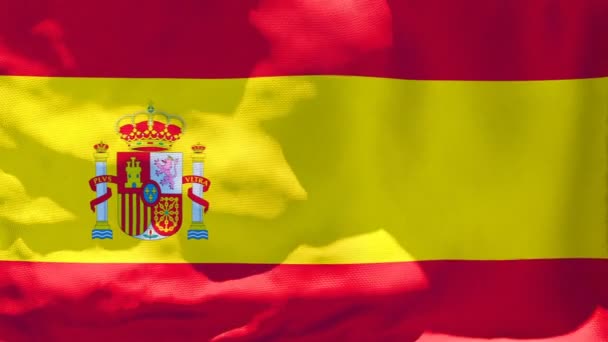 Государственный флаг Испании развевается на ветру — стоковое видео