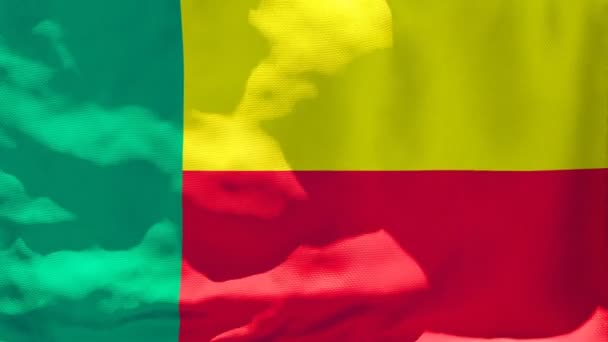 Benins flagga flyger i vinden. — Stockvideo