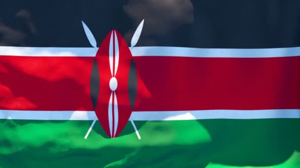 The national flag of Kenya is flying in the wind — Stock Video