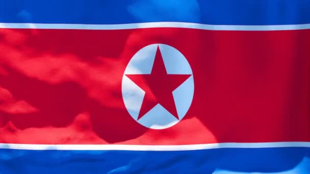 Nordkoreas flagga vajar i vinden — Stockvideo