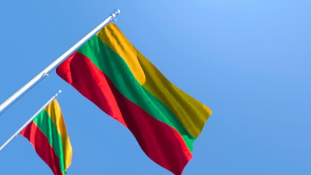 Государственный флаг Литвы летит на ветру против голубого неба — стоковое видео