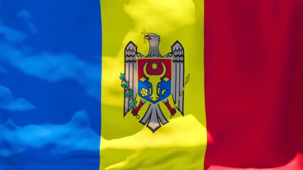 Moldaviens nationella flagga fladdrar i vinden — Stockvideo