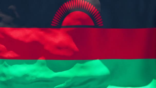 Flaga narodowa Malawi trzepocze na wietrze — Wideo stockowe