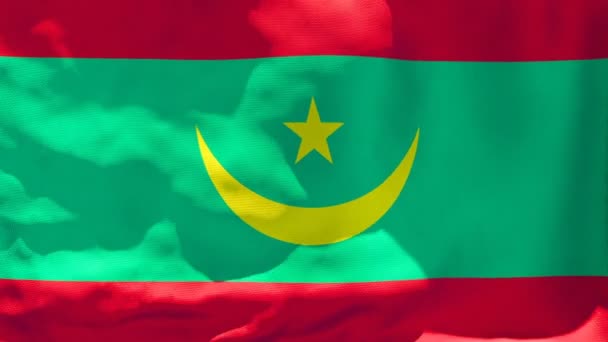 Государственный флаг Мавритании развевается на ветру — стоковое видео