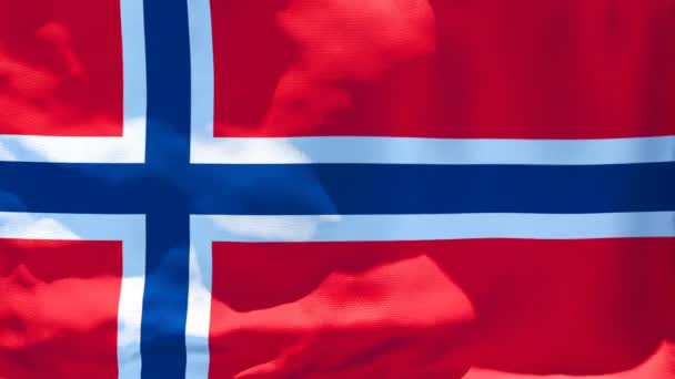 Norges flagga fladdrar i vinden — Stockvideo