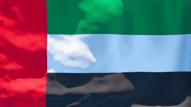 Le drapeau national des Émirats arabes unis flotte dans le vent — Video