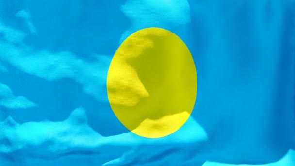 The national flag of Palau flutters in the wind — Stock Video