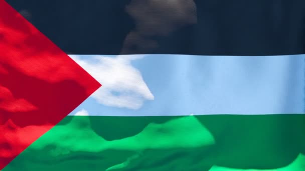 De nationale vlag van Palestina wappert in de wind — Stockvideo