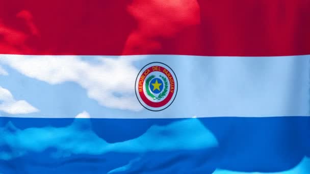 De nationale vlag van Paraguay wappert in de wind — Stockvideo