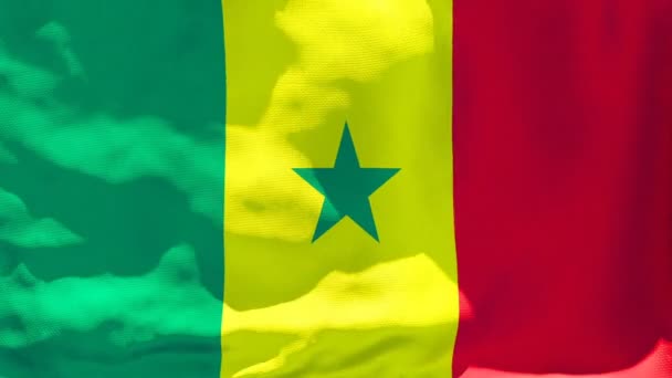 Senegals flagga fladdrar i vinden — Stockvideo