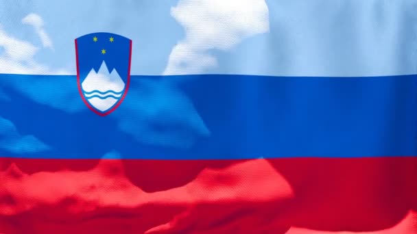 De nationale vlag van Slovenië wappert in de wind — Stockvideo