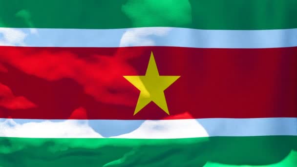 Surinams flagga fladdrar i vinden — Stockvideo