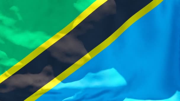 La bandera nacional de Tanzania ondea al viento — Vídeos de Stock