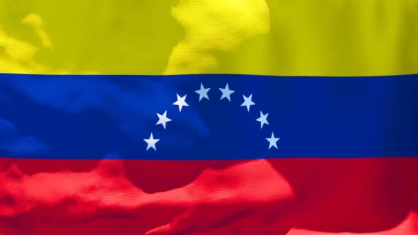 Государственный флаг Венесуэлы развевается на ветру — стоковое видео
