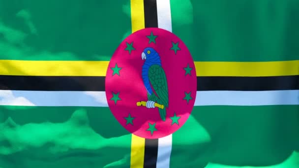 La bandera nacional de Dominica ondea al viento — Vídeos de Stock