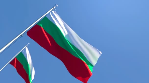 La bandiera nazionale della Bulgaria sta volando nel vento contro un cielo blu — Video Stock