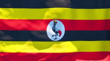 Uganda 'nın ulusal bayrağı rüzgarda dalgalanıyor