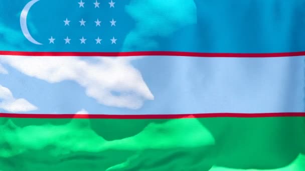 Le drapeau national de l'Ouzbékistan flotte dans le vent — Video