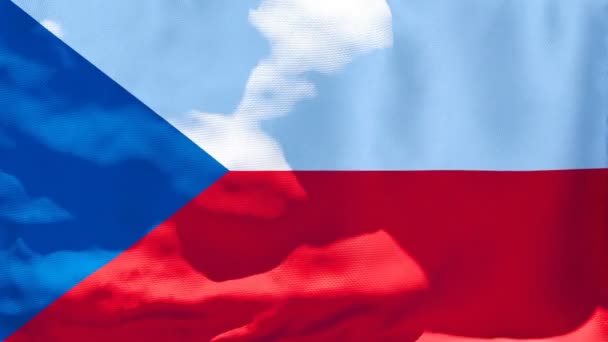 The national flag of Czechia flutters in the wind — Stock Video