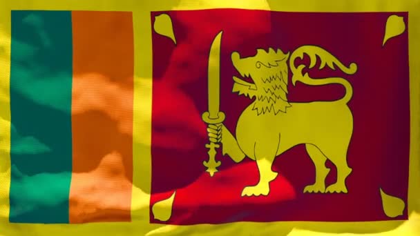 Sri Lanka 'nın ulusal bayrağı rüzgarda dalgalanıyor — Stok video