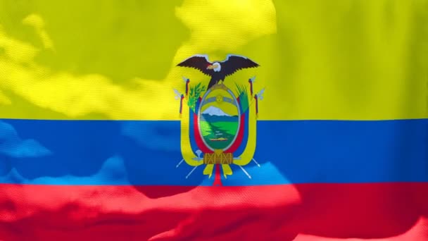 Die Nationalflagge Ecuadors flattert im Wind — Stockvideo
