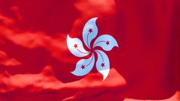 De nationale vlag van Hong Kong wappert in de wind — Stockvideo