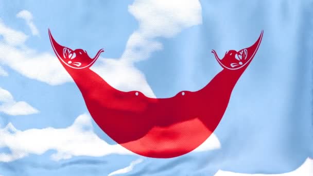 Die Nationalflagge der Osterinsel flattert im Wind — Stockvideo