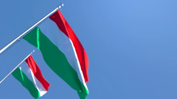 The national flag of Hungary is flying in the wind against the sky — Stock Video