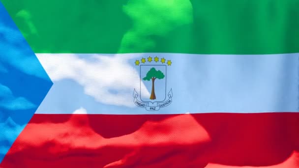 La bandera nacional de Guinea Ecuatorial ondea al viento — Vídeos de Stock
