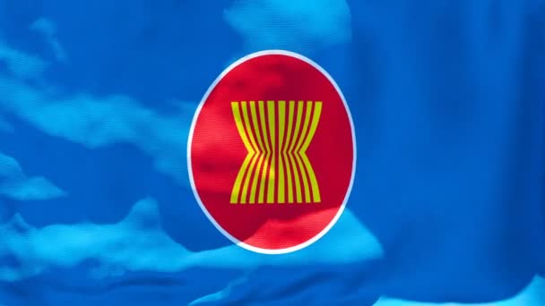 Zblízka vlajky ASEAN vlající ve větru — Stock video