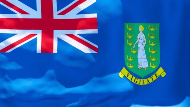 La bandera nacional de las Islas Vírgenes Británicas ondea al viento — Vídeos de Stock