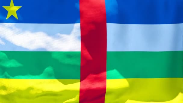 La bandera nacional de la República Centroafricana ondea al viento — Vídeos de Stock