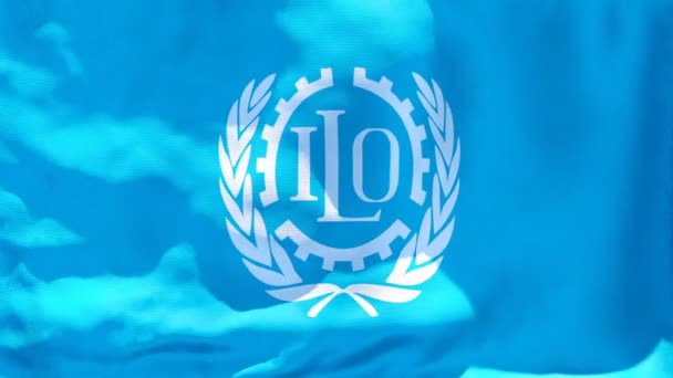 国际劳工组织的旗帜在风中飘扬 — 图库视频影像